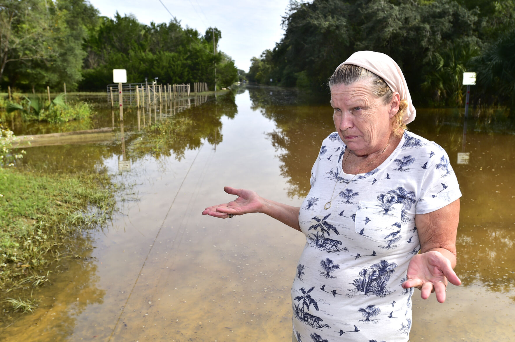 flooded Citrus dominant.jpg